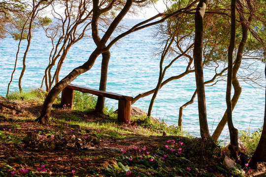 View from a beach with a bench during summer, located on a beautiful island of Rab on the Adriatic coast in the heart of Mediterranean sea. Surrounded by the crystal clear turquoise sea and blue sky.
