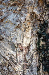 the old wood background texture  ,vintage colorful.