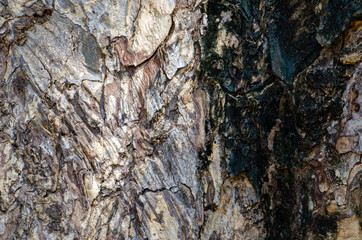 the old wood background texture  ,vintage colorful.