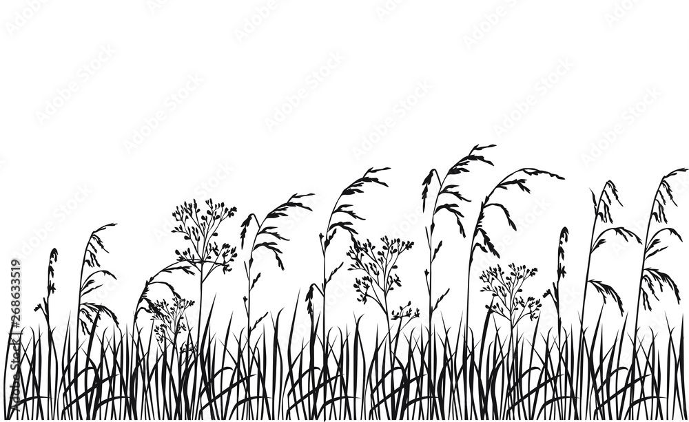 Wall mural Silhouette flowers and grass, spring and summer forest and garden field flowers, black color isolated on white background Vector illustration of nature flowers and grass in the garden