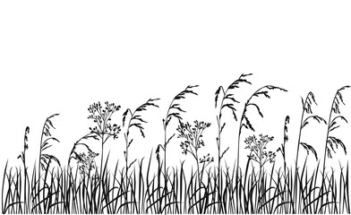 Silhouette flowers and grass, spring and summer forest and garden field flowers, black color isolated on white background Vector illustration of nature flowers and grass in the garden