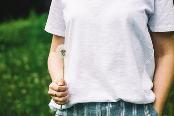 Lovely summer picture of a female hand holding dandelion against grass background