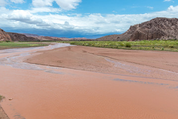 Fototapeta na wymiar Las Conchas river at Quebrada de Cafayate, Argentina