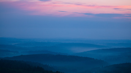 Forest Waves at Sunset