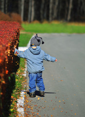 A small child happily walks down the street and touches the colorful leaves of trees in autumn