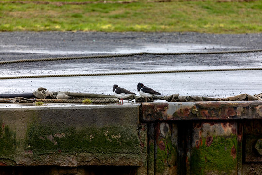Dieser bl&ouml;de Sturm