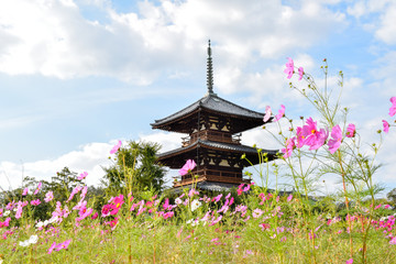 Obraz premium 法起寺