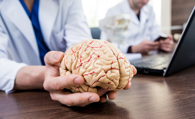 Doctor holding plastic model of human brain.