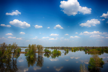 Obraz na płótnie Canvas Blue sky with heap clouds reflecting in the flooded river overgrown by the lush inundated forest in May