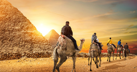 Camel Caravan and Pyramids