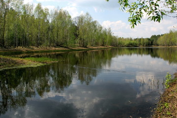 Fototapeta na wymiar Lake in the forest in summer