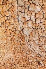 Old Weathered Peeling Metal Texture
