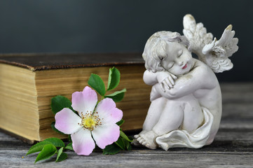 Guardian angel sleeping. Angel, flower and book on wooden background