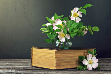 Still life with beautiful roses and old book on dark grunge background.