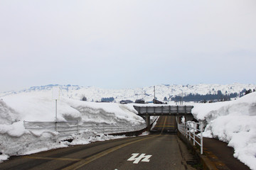 新潟県　雪