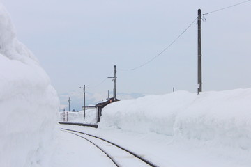 新潟県　雪
