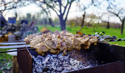 Raw skewers from turkey meat are cooked on a charcoal grill close up on a sunny summer day in nature in the garden