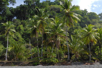 Coast near Carate in Corcovado NP near Puerto Jimenez on peninsula Osa in Costa Rica © kstipek