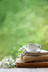 beautiful cozy composition with Cup of tea, apple flowers and books on wooden white table. spring, summer season. delicate interior. copy space
