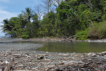 Coast near Carate in Corcovado NP near Puerto Jimenez on peninsula Osa in Costa Rica