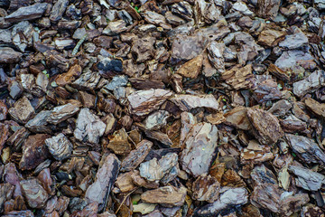 Pieces of tree bark. Texture, brown and gray background, horizontal abstract macro photography