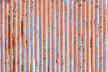 Old galvanized sheet texture and background