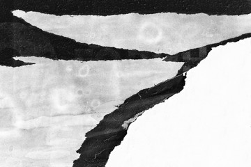 Blank black white creased crumpled paper texture background old grunge ripped torn vintage collage posters placards empty space text