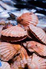 Fresh Shellfish display on English Market for sale. Cork/Ireland
