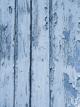 layered flaking bright blue old peeling paint on grainy rough timber plank surface