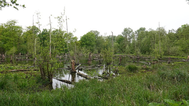 Tal der Schwalm bei Br&uuml;ggen