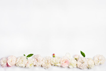 White roses on a white background.