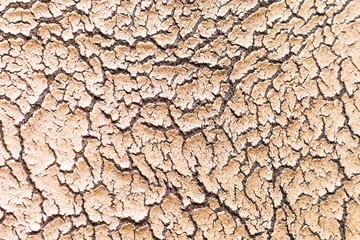 Old leather background is broken.