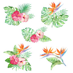 watercolor set tropical bouquets