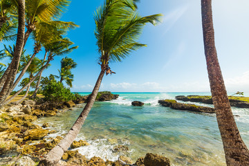 Rocky shore in Bas du Fort