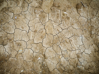 Dry dirt texture in a swamp