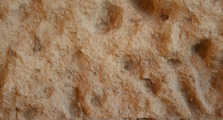 STONE TEXTURE 202