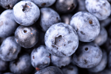 ripe blueberries as background