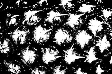 Grunge detailed pineapple