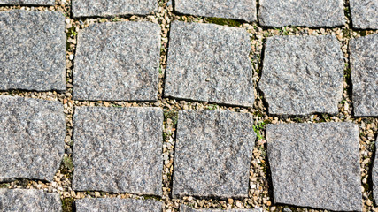 Cobblestone pavement with moss