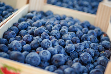 Fresh blueberries in wooden boxes on the market