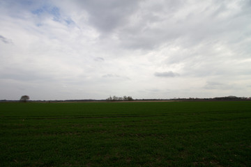 blick auf eine grasfläche unter bewölktem himmel in rhede emsland deutschland fotografiert während eines spaziergangs in der natur