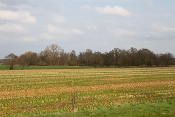 blick auf eine farbenfrohe ackerfläche in rhede emsland deutschland fotografiert während eines spaziergangs in der natur