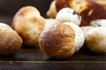 Ceps Boletus edulis over Wooden Dark Background, close up on wood rustic table. Cooking delicious organic mushroom.