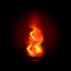 Fire flame isolated on black background. Vector illustration.