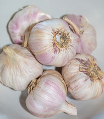 heads of garlic on white background - Brazil