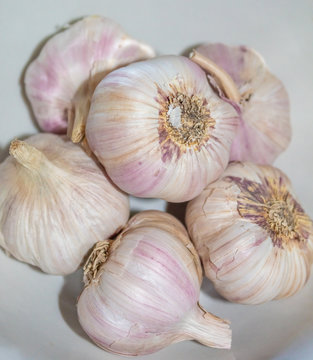 heads of garlic on white background - Brazil