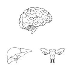 Vector design of body and human symbol. Set of body and medical stock symbol for web.