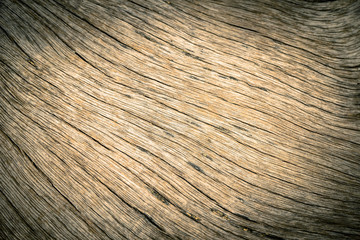 Old tree texture natural background.
