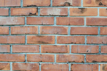 Obraz premium レンガの壁