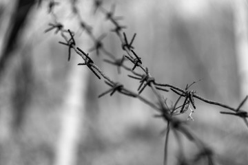 barbed wire on a background of blue sky